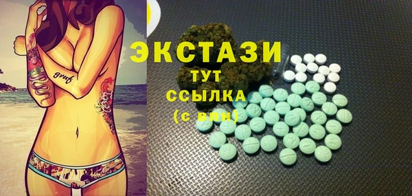 индика Богданович