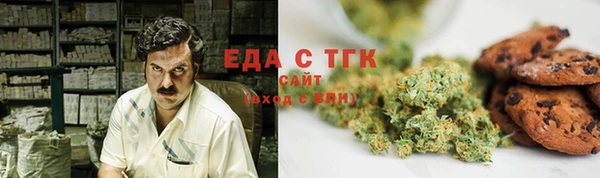индика Богданович
