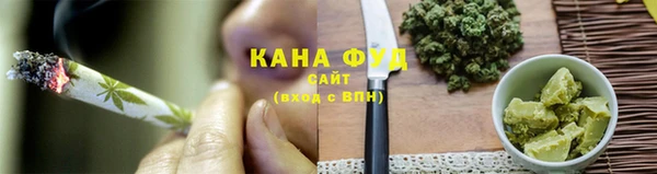 индика Богданович