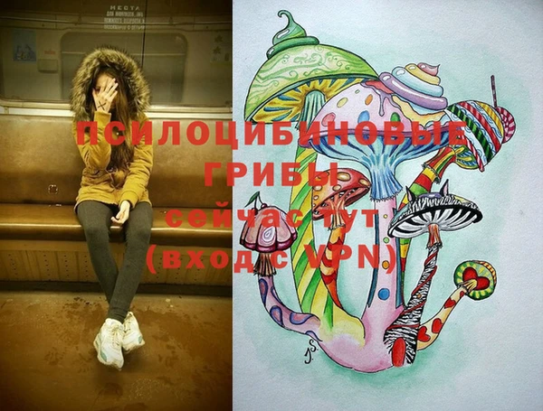 jwh Белокуриха