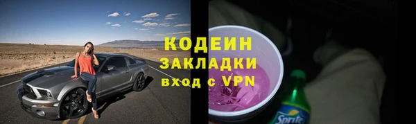 индика Богданович