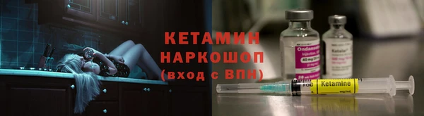 индика Богданович