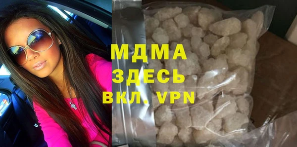 индика Инсар