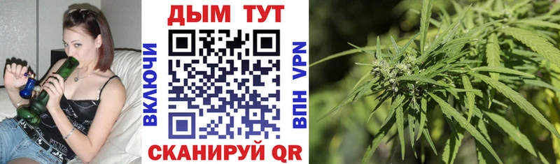 Конопля SATIVA & INDICA блэк спрут зеркало Невель